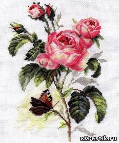 Схема для вышивки крестом Роза и бабочка